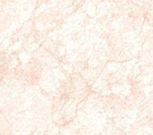 Ceramic Wall Tile  QZ-25059L